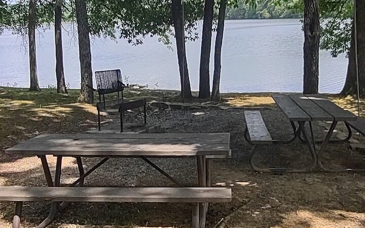 Saline County State Fish and Wildlife Area - Equality, IL