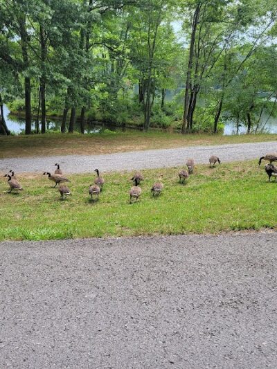 Saline County State Fish and Wildlife Area - Equality, IL
