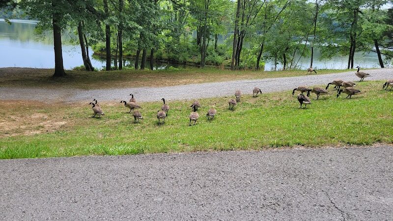 Saline County State Fish and Wildlife Area - Equality, IL