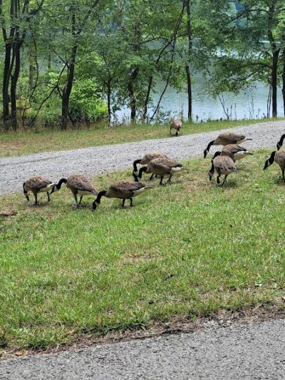 Saline County State Fish and Wildlife Area - Equality, IL