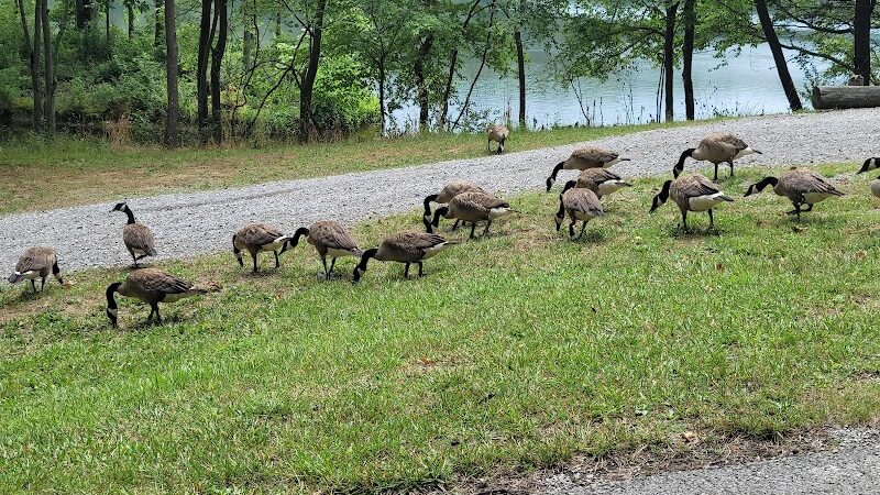 Saline County State Fish and Wildlife Area - Equality, IL