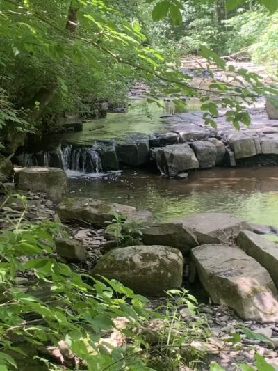 Schoharie Creek Preserve - Esperance, NY