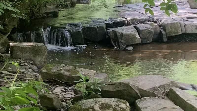 Schoharie Creek Preserve - Esperance, NY