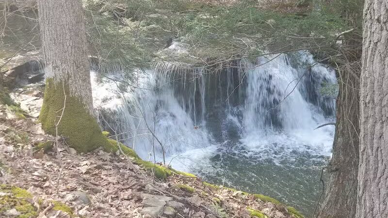 Schoharie Creek Preserve - Esperance, NY