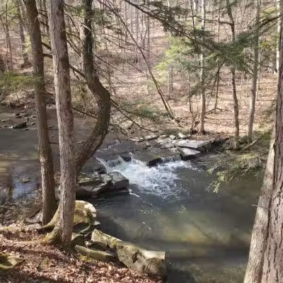 Schoharie Creek Preserve - Esperance, NY