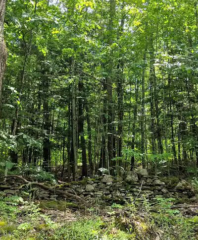 Schoharie Creek Preserve - Esperance, NY