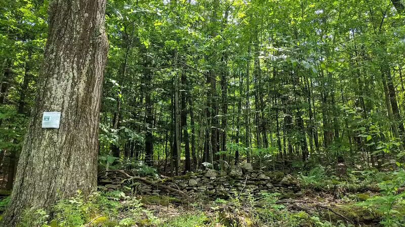 Schoharie Creek Preserve - Esperance, NY