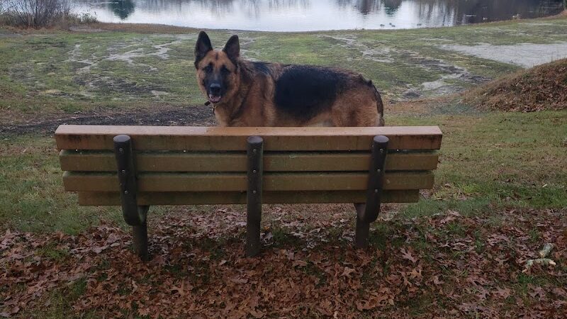 Paw Dog Park - Essex, CT