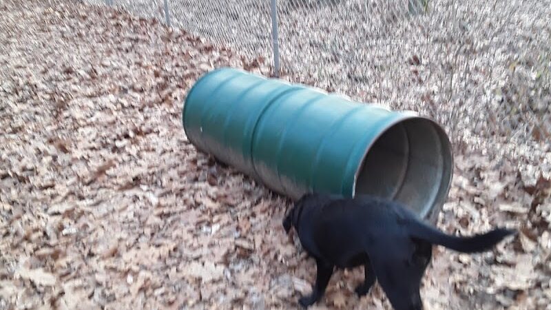 Paw Dog Park - Essex, CT