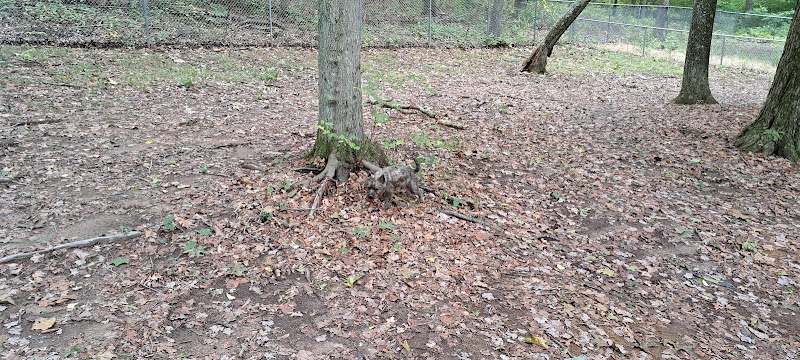 Paw Dog Park - Essex, CT