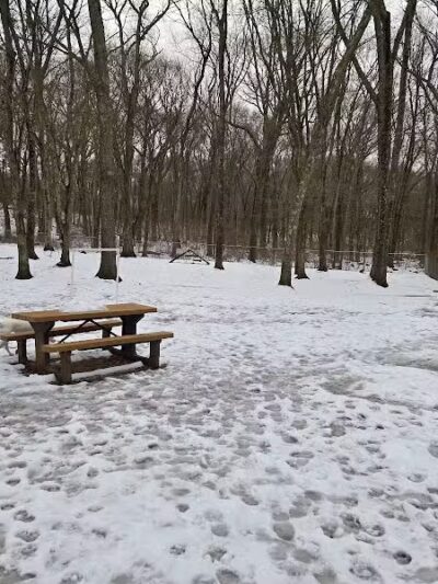 Paw Dog Park - Essex, CT