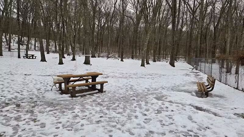 Paw Dog Park - Essex, CT