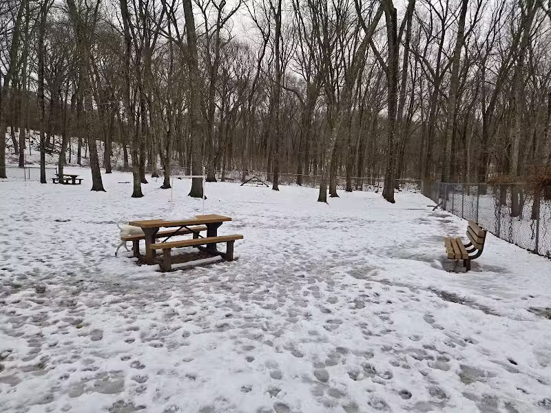 Paw Dog Park - Essex, CT