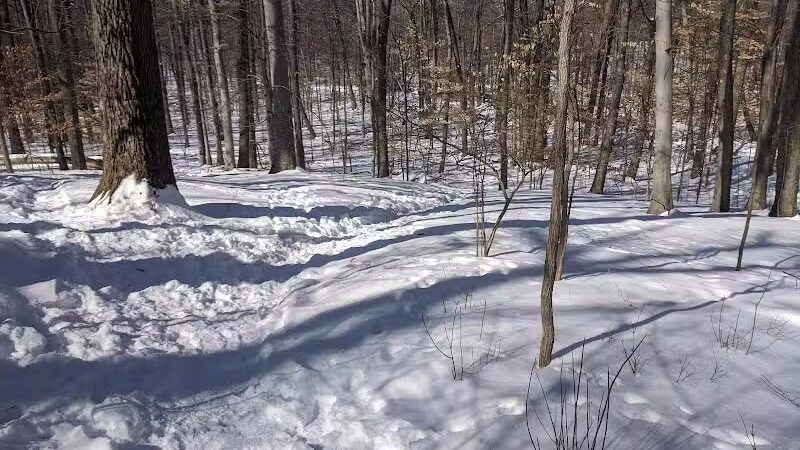 Egan Field - Essex Fells, NJ