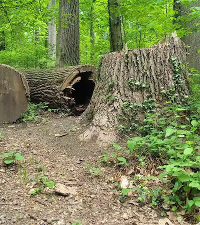 Egan Field - Essex Fells, NJ