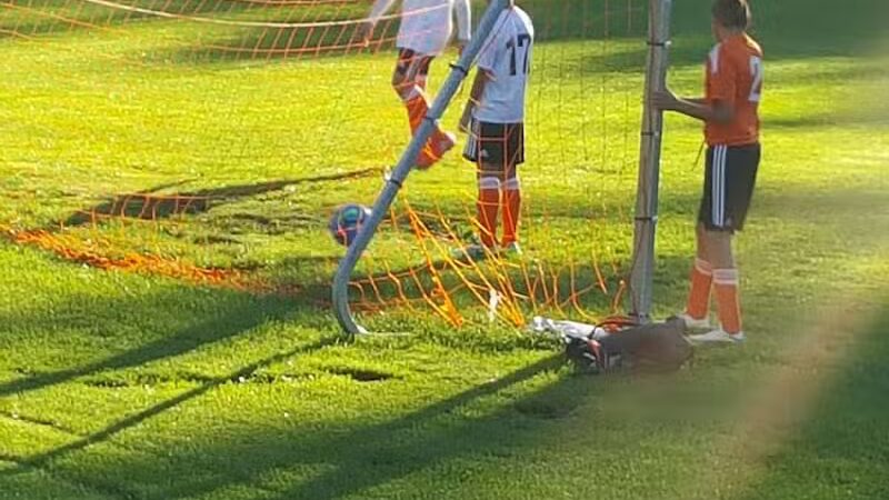 Egan Field - Essex Fells, NJ