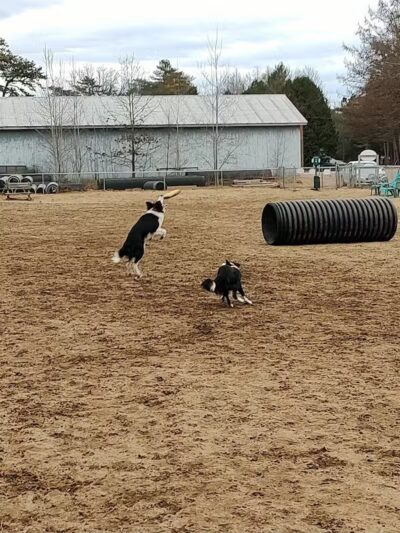 Essex Dog Park- Parking Lot - Essex Junction, VT