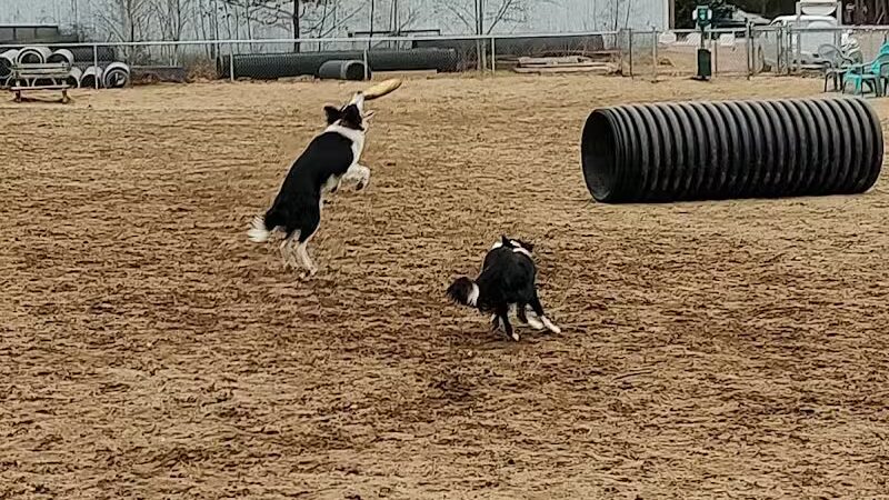 Essex Dog Park- Parking Lot - Essex Junction, VT