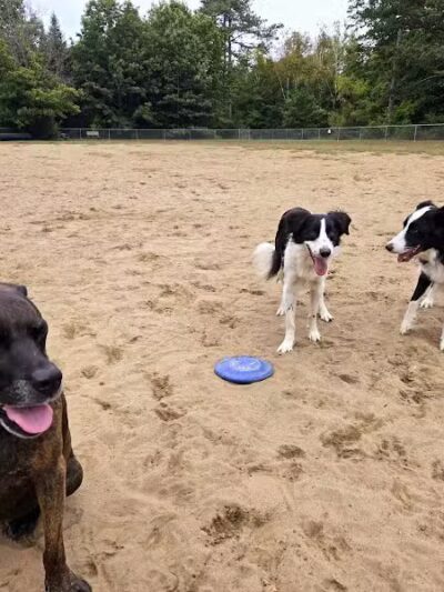 Essex Dog Park- Parking Lot - Essex Junction, VT
