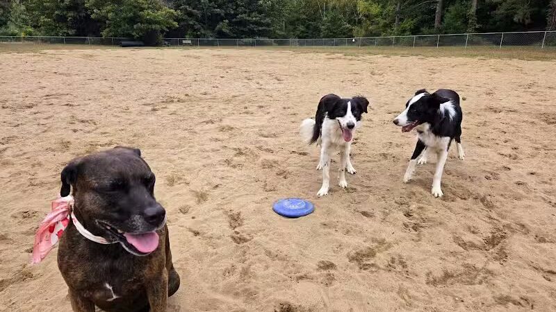 Essex Dog Park- Parking Lot - Essex Junction, VT