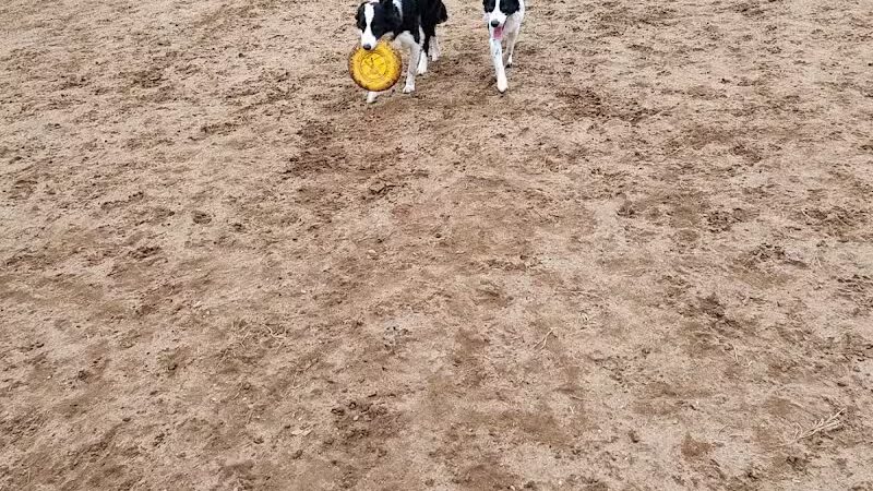 Essex Dog Park- Parking Lot - Essex Junction, VT