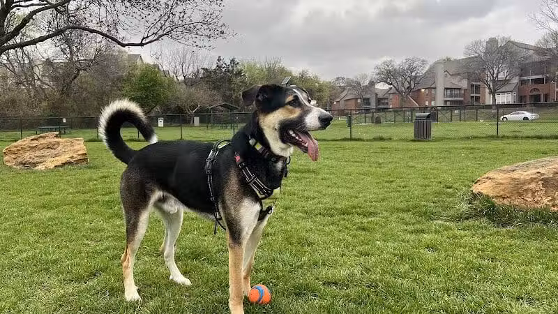 Euless Dog Park - Euless, TX