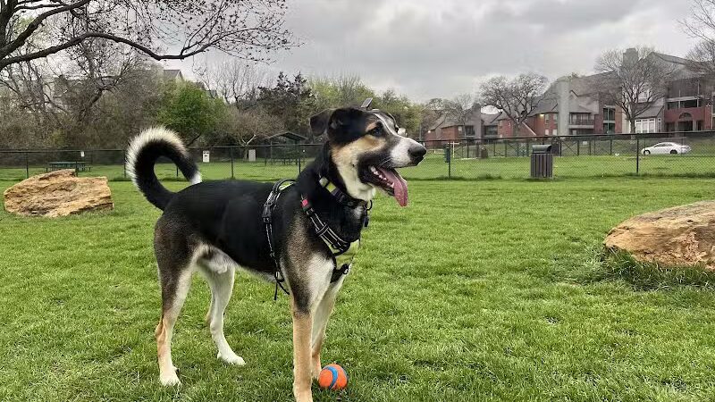 Euless Dog Park - Euless, TX