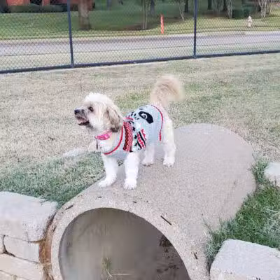Euless Dog Park - Euless, TX