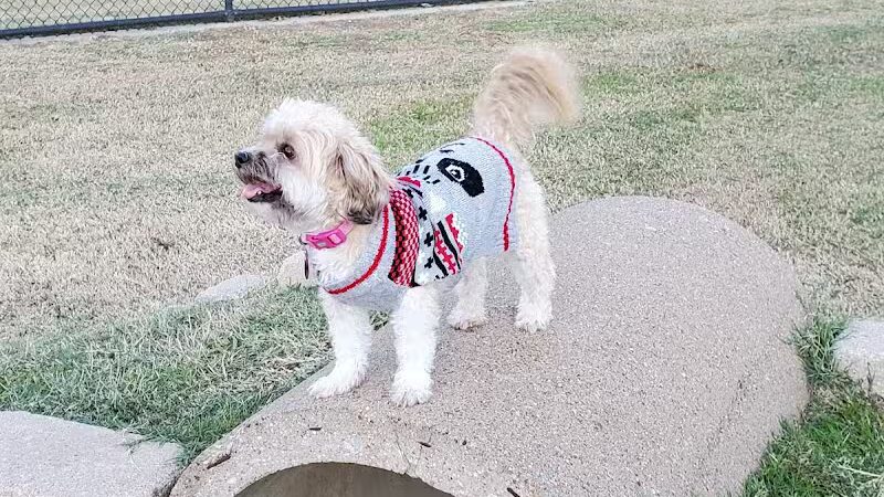 Euless Dog Park - Euless, TX