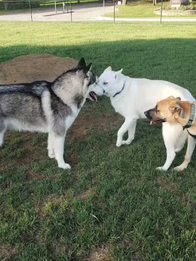 Euless Dog Park - Euless, TX