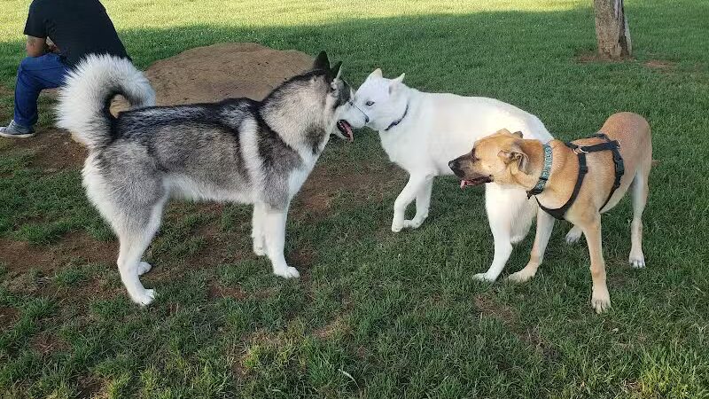 Euless Dog Park - Euless, TX