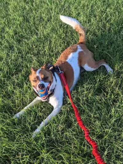Villages of Bear Creek Park - Euless, TX