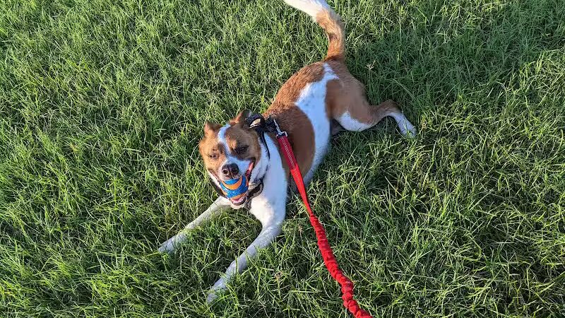 Villages of Bear Creek Park - Euless, TX