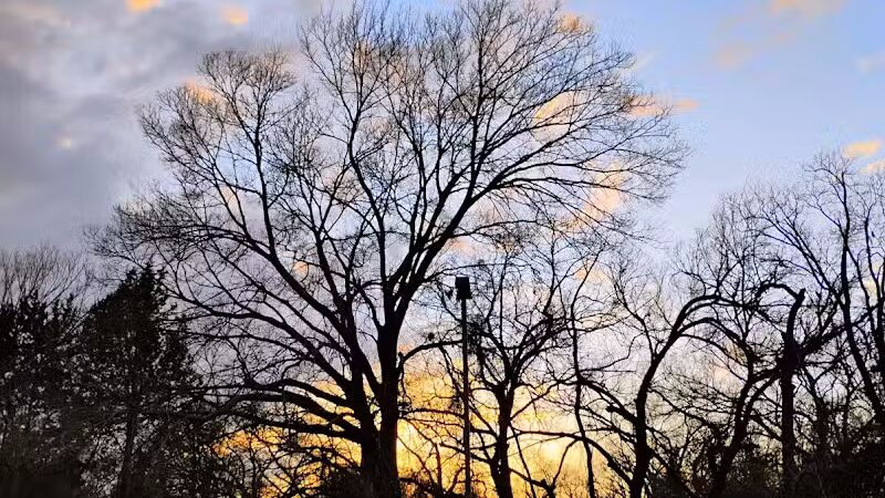Villages of Bear Creek Park - Euless, TX