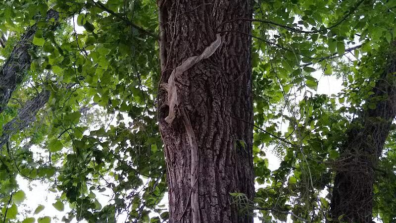 Villages of Bear Creek Park - Euless, TX