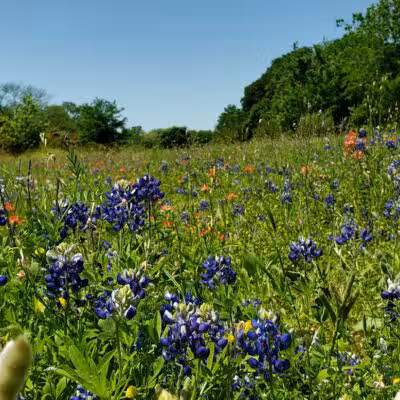 Villages of Bear Creek Park - Euless, TX