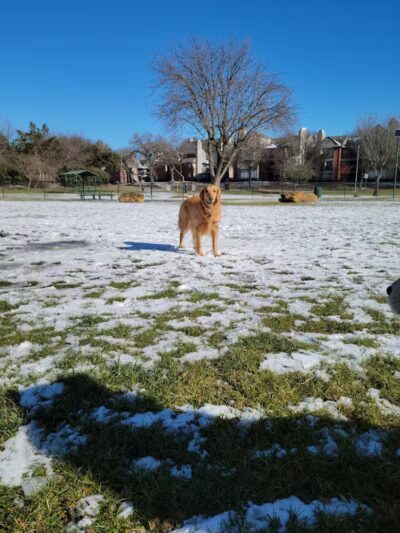 Euless Dog Park, Small Dogs - Euless, TX