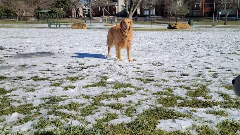 Euless Dog Park, Small Dogs - Euless, TX