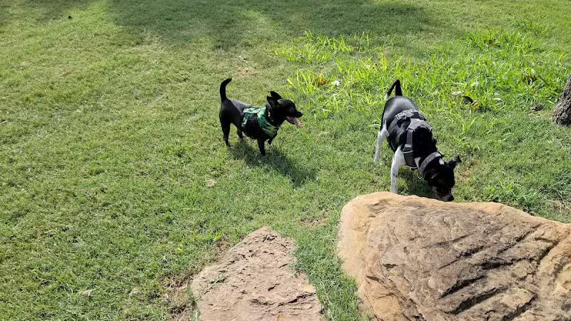 Euless Dog Park, Small Dogs - Euless, TX