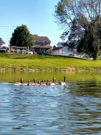 Eureka Dog Park - Eureka, IL