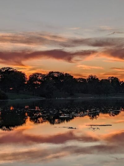 Eureka Dog Park - Eureka, IL