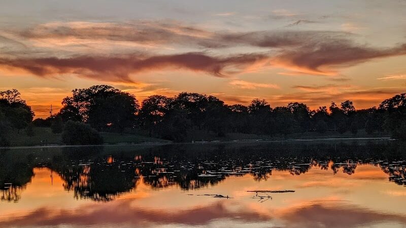 Eureka Dog Park - Eureka, IL