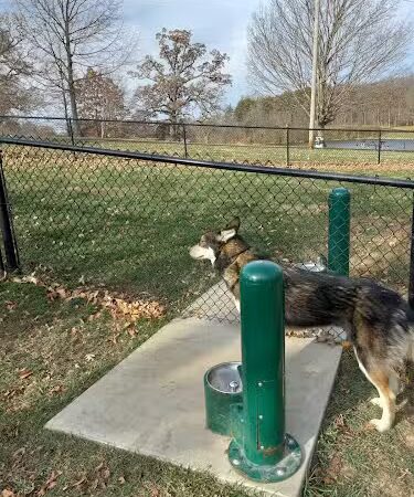 Eureka Dog Park - Eureka, IL