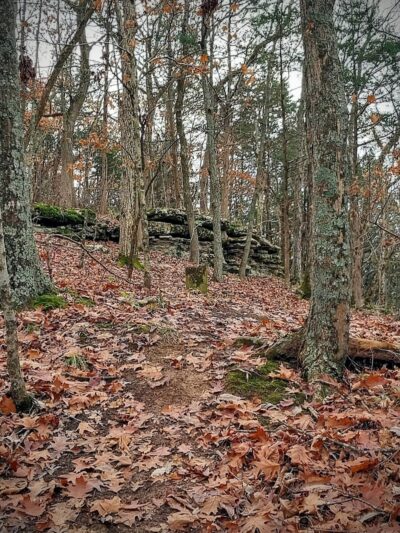 Beck Park - Eureka, MO