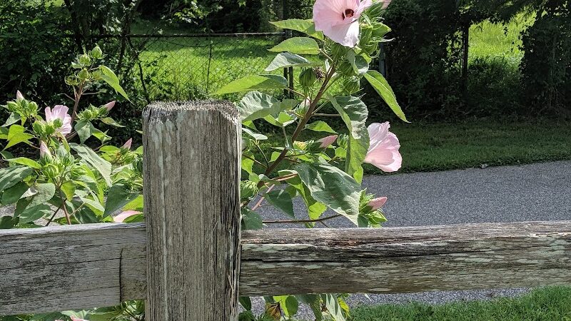 Drewel Park - Eureka, MO