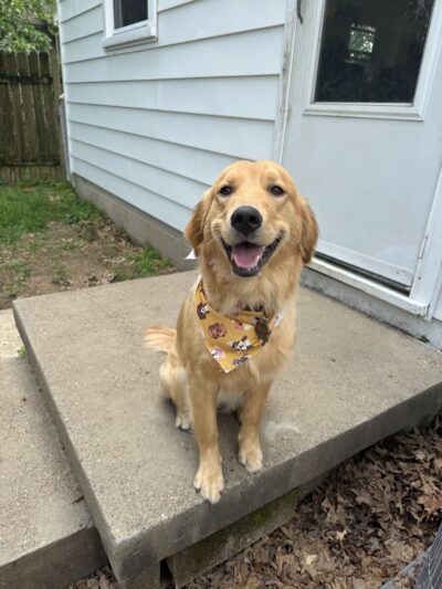 Earthborn Holistic Dog Park - Evansville, IN