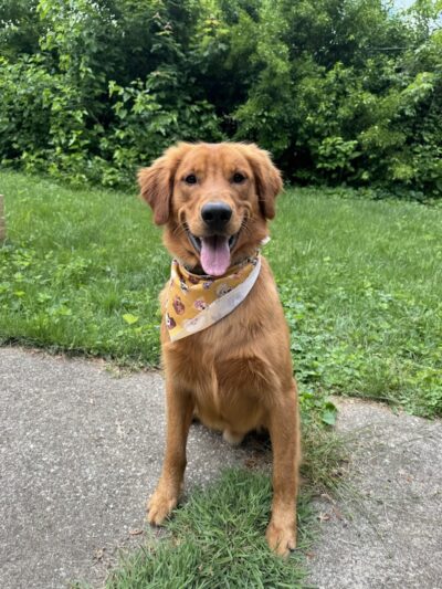 Earthborn Holistic Dog Park - Evansville, IN