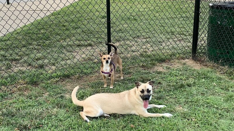 Earthborn Holistic Dog Park - Evansville, IN