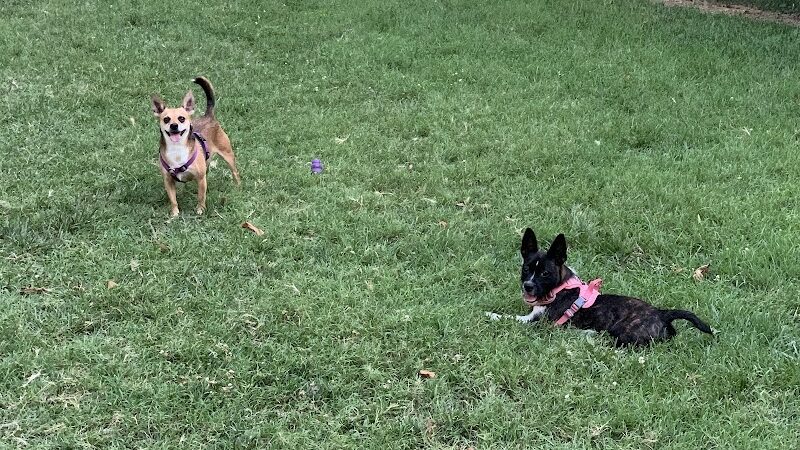 Earthborn Holistic Dog Park - Evansville, IN