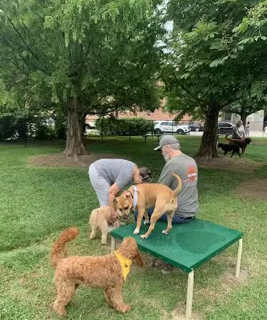 Earthborn Holistic Dog Park - Evansville, IN